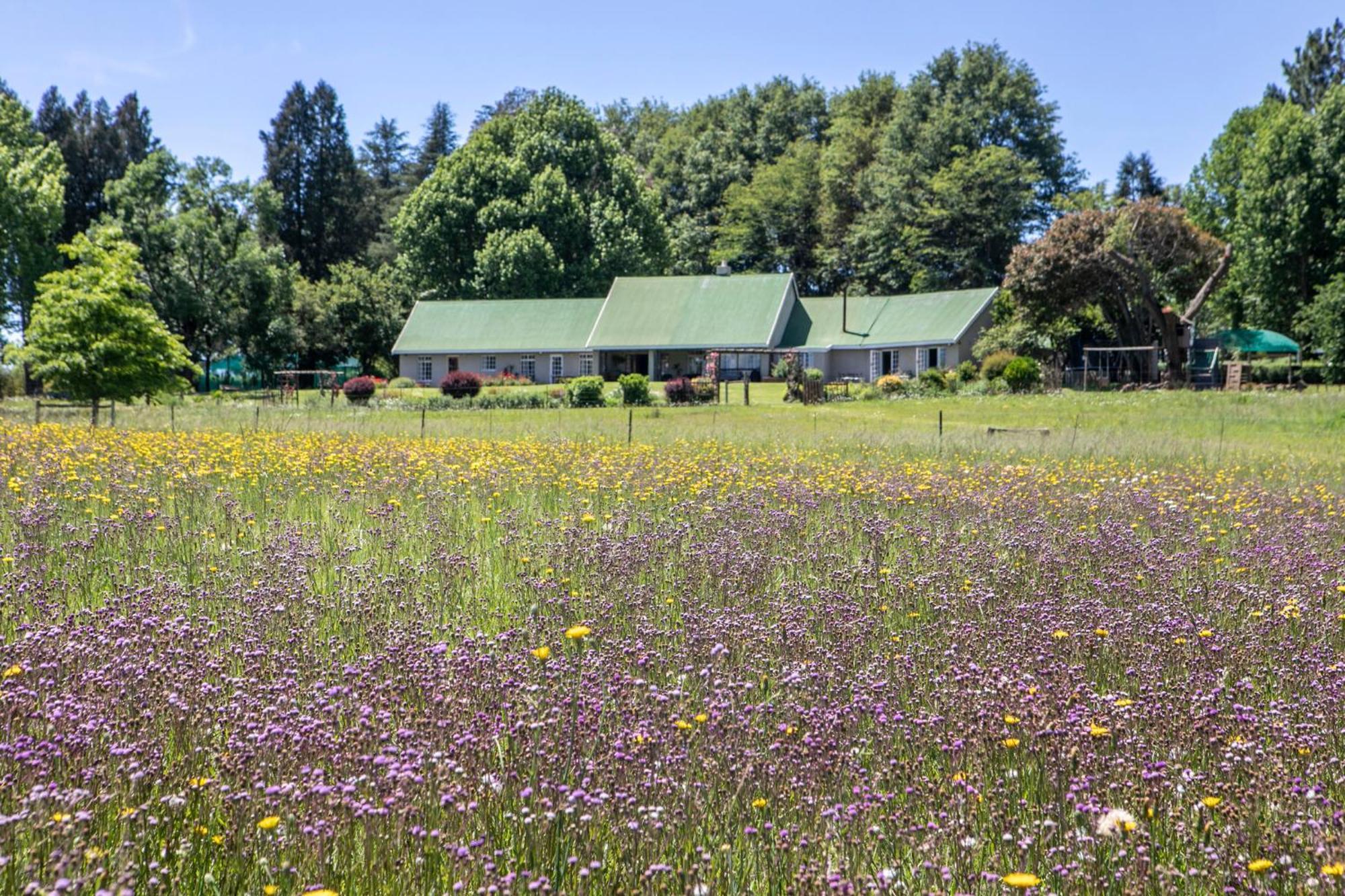 Khanyeni Himeville Esterno foto
